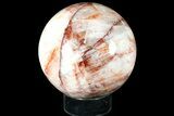 Polished Hematite (Harlequin) Quartz Sphere - lbs #121947-1